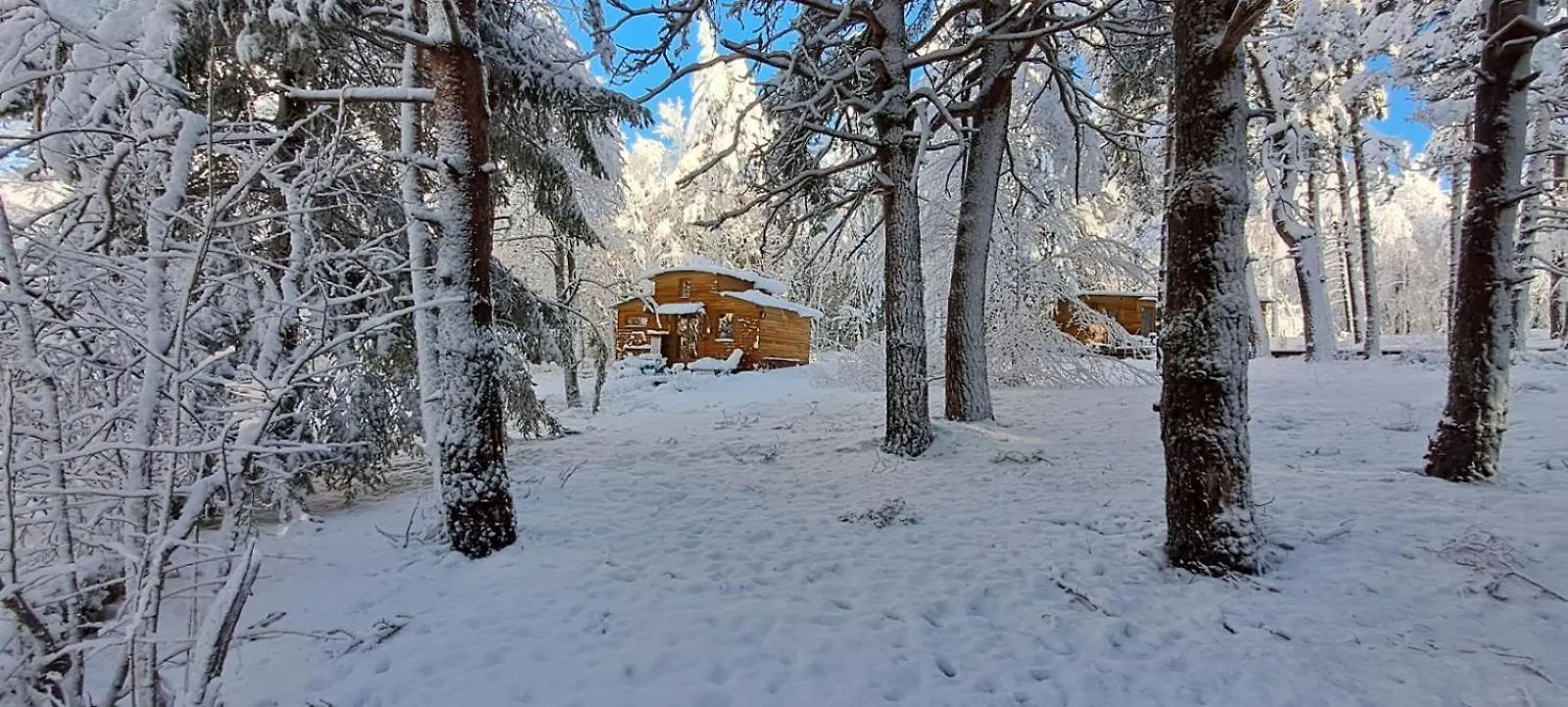 Chalet Hibou 1 Couchage En 140 Domaine De La Mamounette Champclause 0*,